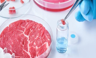 Лабораторный анализ пищевых продуктов по СанПиН в Малоярославце в октябре