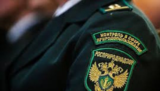 Подготовка к проверке Росприроднадзора в Малоярославце от ПромМир-Млр, стоимость услуги от 20684 руб.